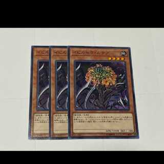 Yu-Gi-Oh! Ibicella Lutea 3 cards, model no. A-3146