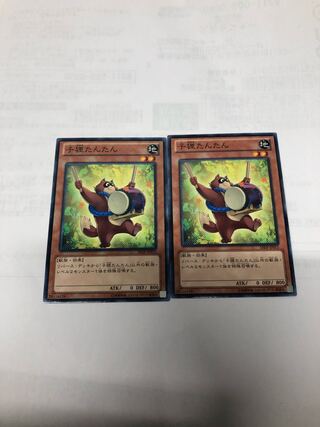 子狸たんたん2枚セット