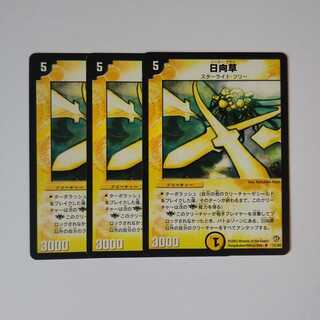 日向草 DM08 21/55 3枚セット