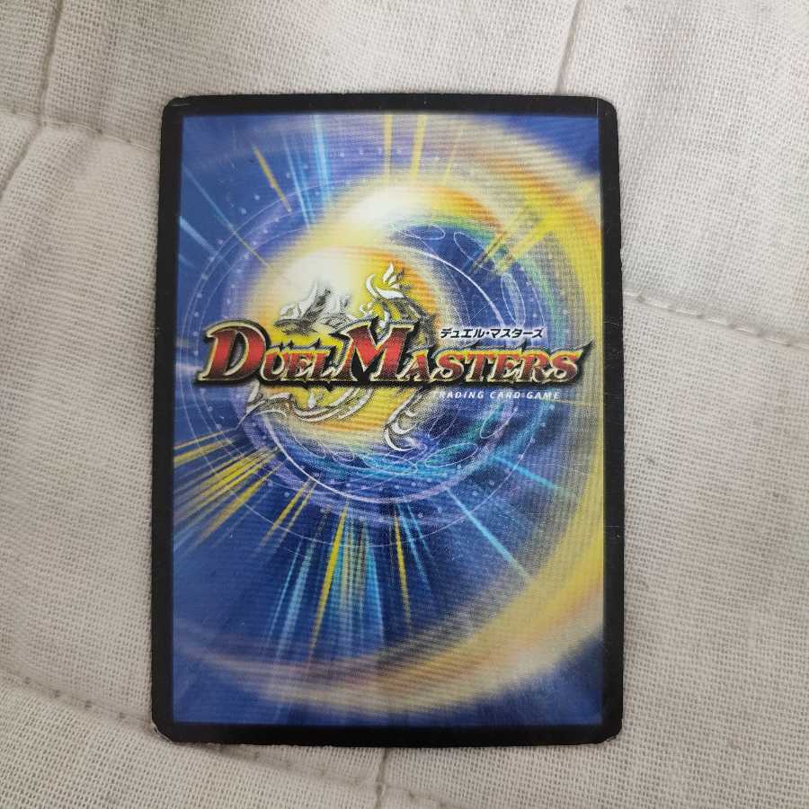 初期プロモ12枚セット