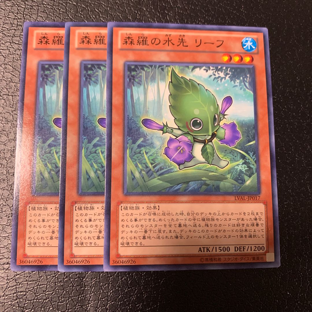 森羅の水先 リーフ ノーマル