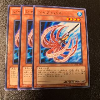 シャクトパス ノーマル