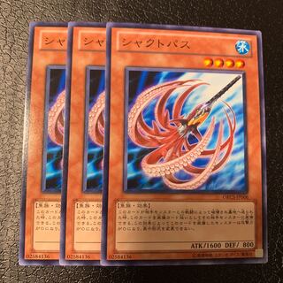 シャクトパス ノーマル