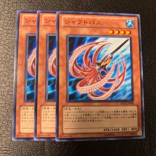 シャクトパス ノーマル