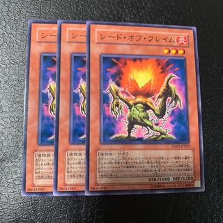 シード・オブ・フレイム ノーマル