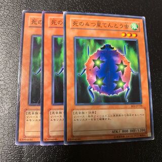 死の4つ星てんとう虫 ノーマル