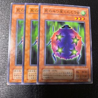 死の4つ星てんとう虫 ノーマル