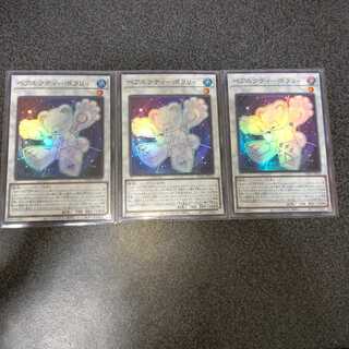 ベアルクティーポラリィ