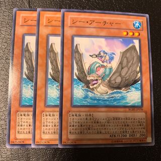 シー・アーチャー ノーマル