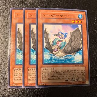 シー・アーチャー ノーマル