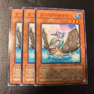 シー・アーチャー ノーマル