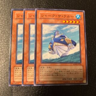 シャーク・ザ・クルー ノーマル