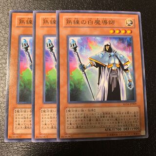 熟練の白魔導師 ノーマル