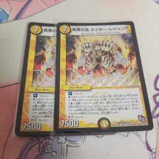 真実の名 タイガー・レジェンド