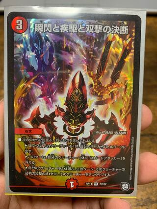 瞬閃と疾駆と双撃の決断