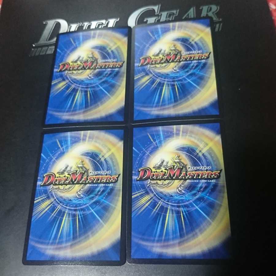 専用「謎」の頂 Z-ファイル