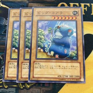 マドレース2387ビッグ・コアラ ノーマル