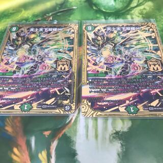 Tianjing Tianjing Bipolar♾ Set of 2