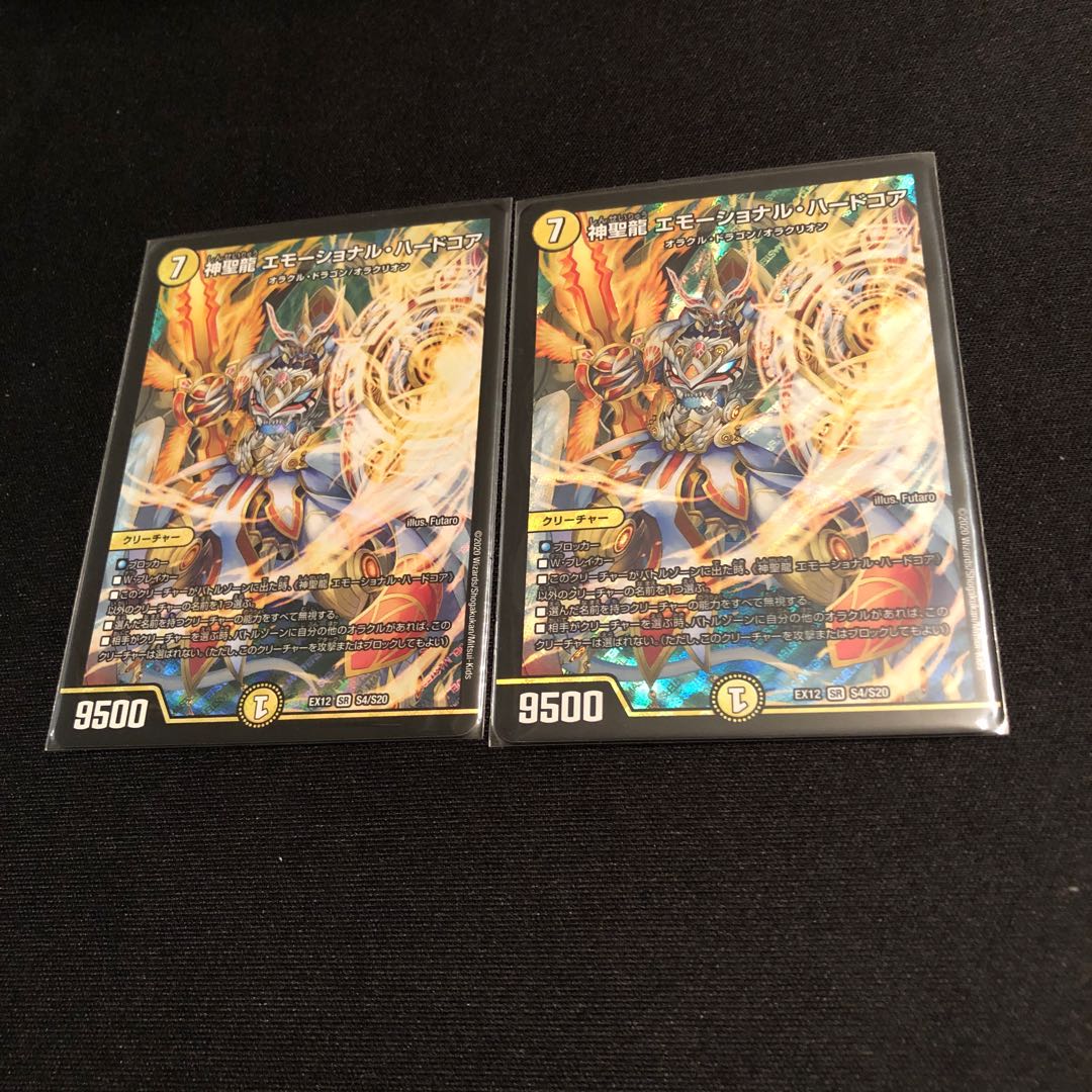 神聖龍 エモーショナル・ハードコア