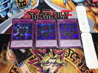 Ring of Destruction Secret 3-Piece Set Terra