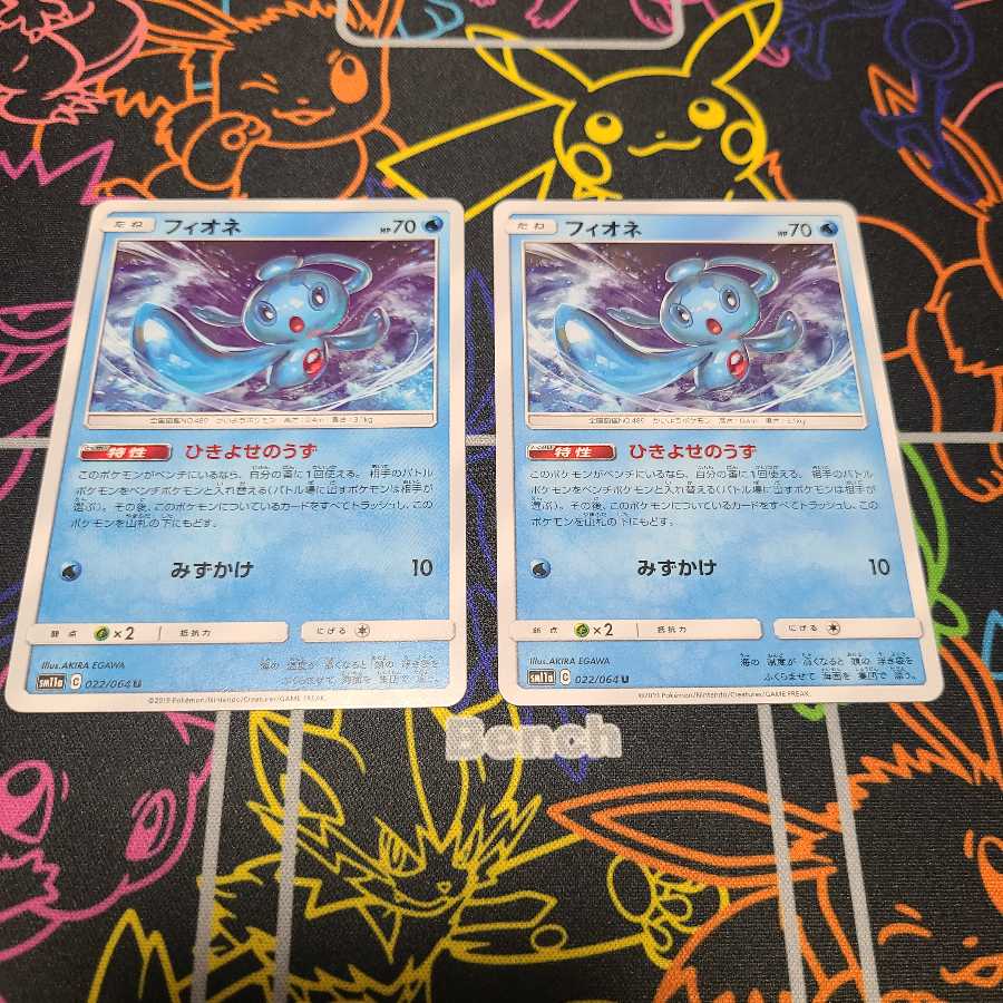 フィオネ2枚セット