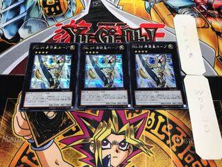 igyd0811 様 専用 1枚