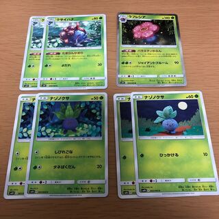 ラフレシアセット