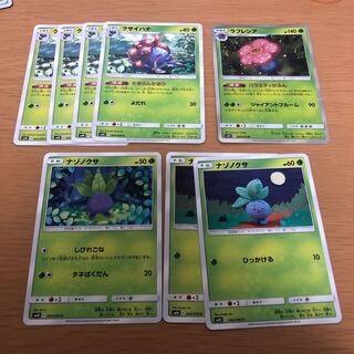 ラフレシアセット