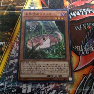 未界域のツチノコ