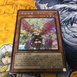 Yu-Gi-Oh Error Possession Wearing - Laina Secret Eye Error Rare Rare Rare Rare