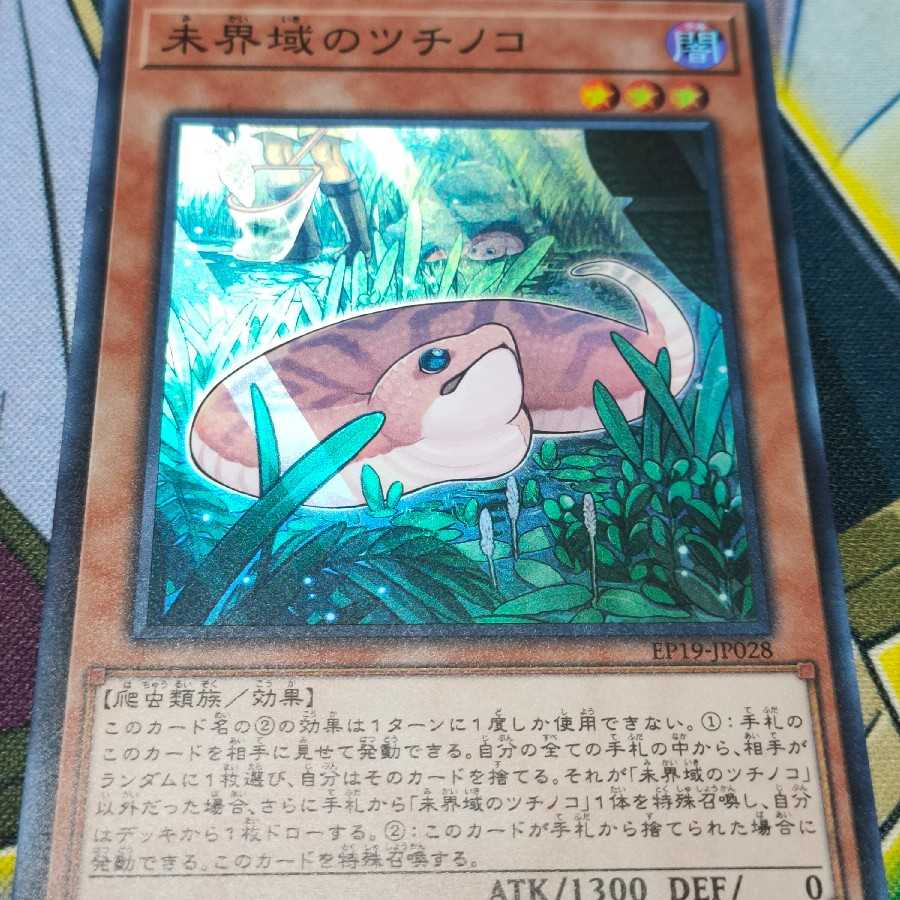 未界域のツチノコ