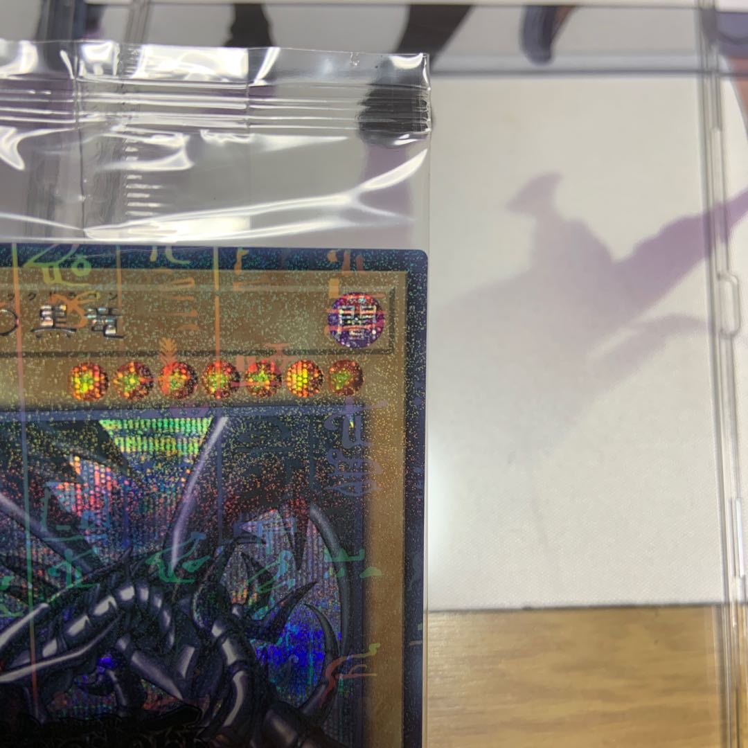 遊戯王　WCS 2019 当選書　通知書　レッドアイズ　使者蘇生　未開封