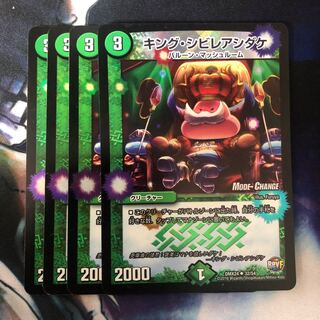 キング・シビレアシダケ