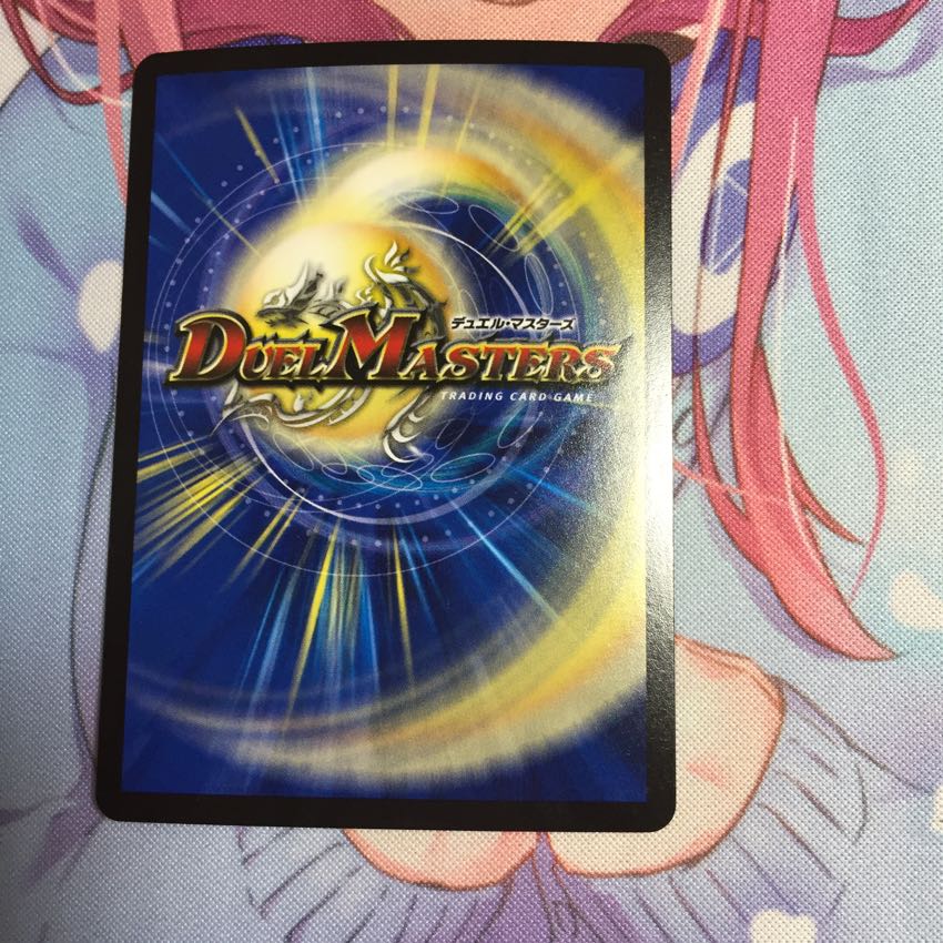 D2Wワイルドスピード 1枚