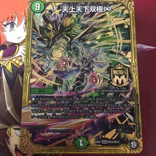 天上天下双極∞