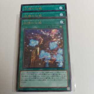 妖精の伝姫 3枚