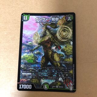 ガンヴィー龍樹