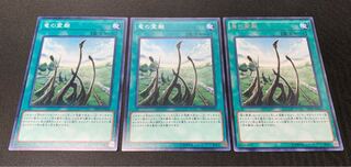 竜の霊廟 ノーマル2枚レア1枚 3枚セット