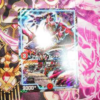 アカカゲ・レッドシャドウ