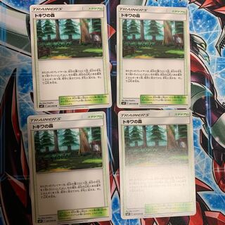 トキワの森 4枚