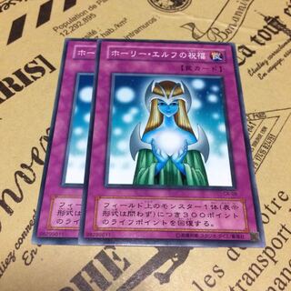 ホーリー・エルフの祝福【N】