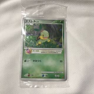 ポケモンカード プレイヤーズプロモ ナエトル/ヒコザル/ポッチャマ