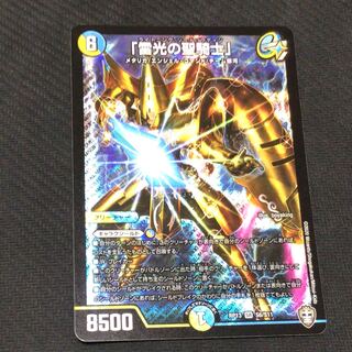 「雷光の聖騎士」(ライトニングソードパラディン)