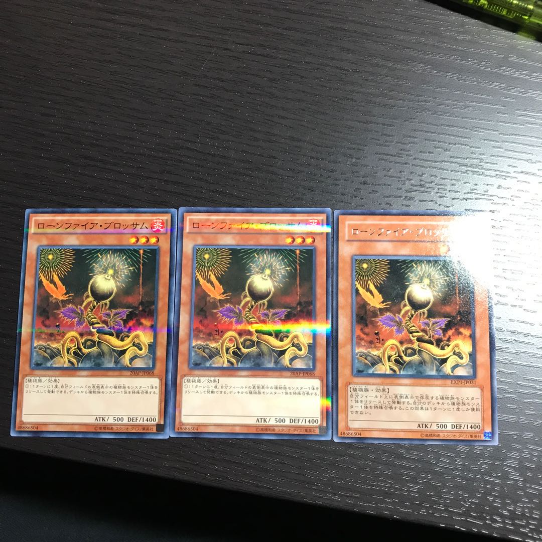 ローンファイア・ブロッサム