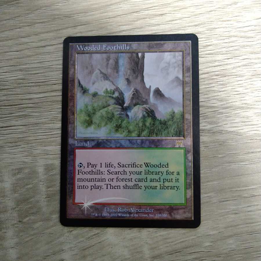 樹木茂る山麓　英語　foil