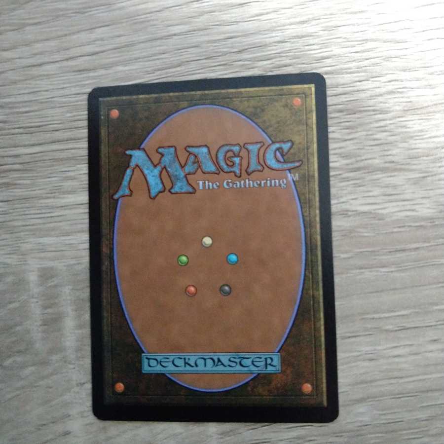 樹木茂る山麓　英語　foil