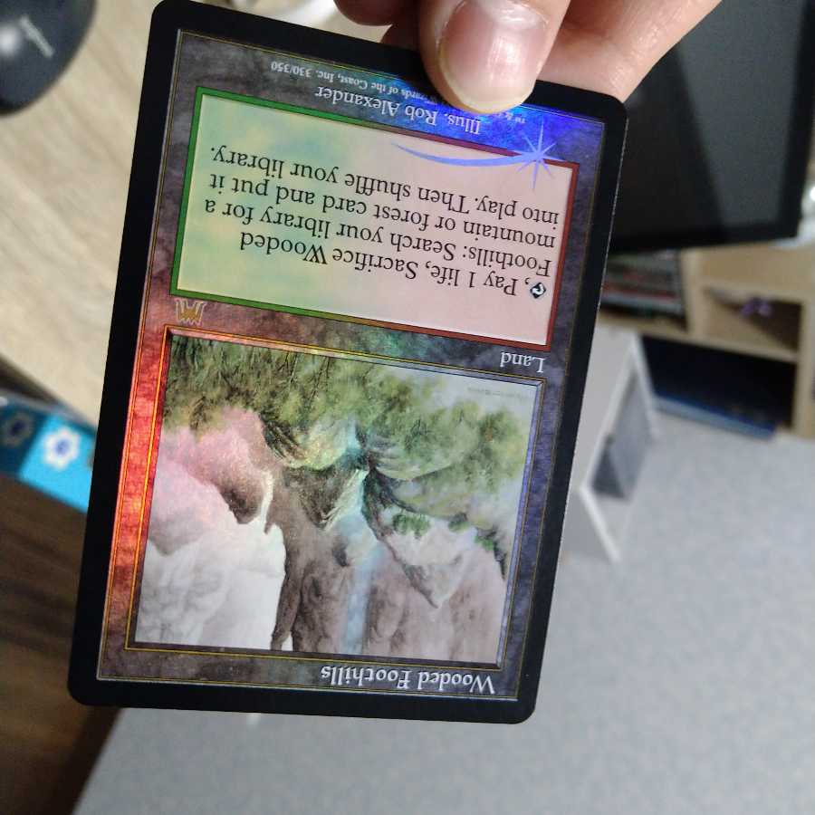 樹木茂る山麓　英語　foil