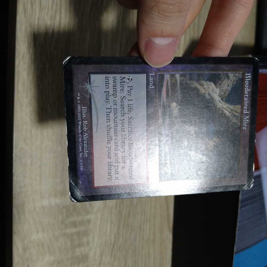 血染めのぬかるみ　英語　foil　※状態注