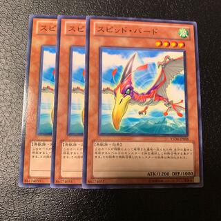 スピッド・バード ノーマル