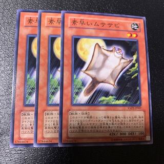 素早いムササビ ノーマル